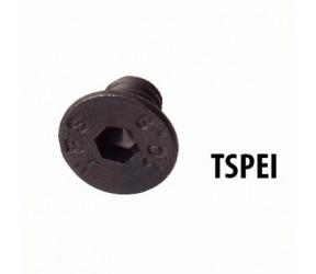 Śrubka TSPEI M4x6